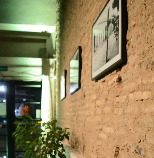 Pasillo con pared de ladrillo, cuadros antiguos y una planta junto a la puerta